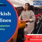 How Can I Choose a Seat on Turkish Airlines | A Complete Guide